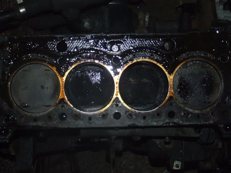 DSCF0922.webp