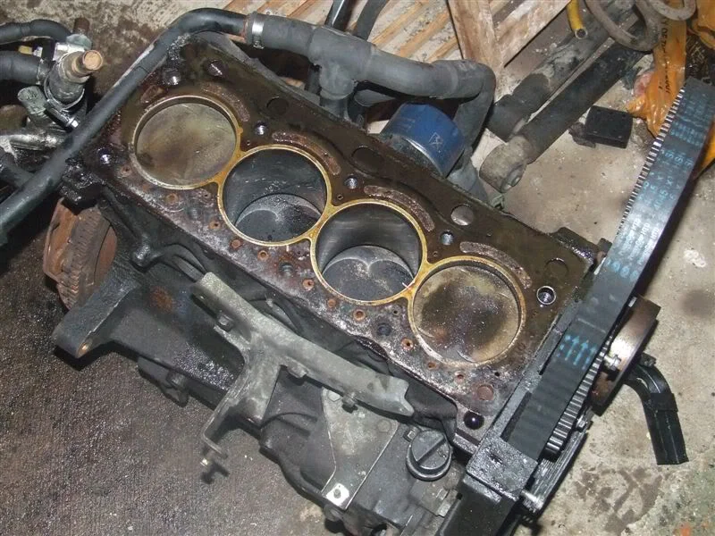 DSCF0923.webp