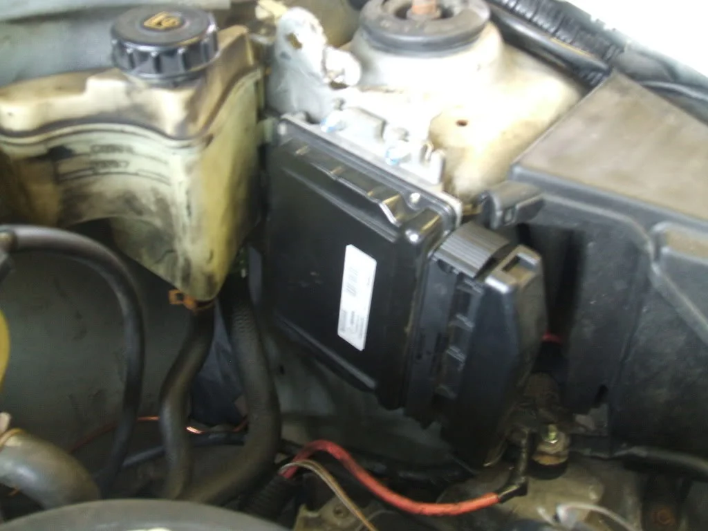 DSCF0938.webp
