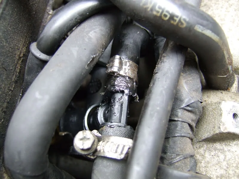 DSCF0953.webp