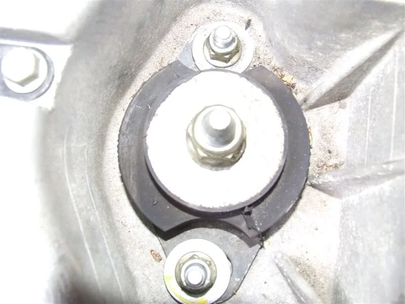 DSCF0955.webp