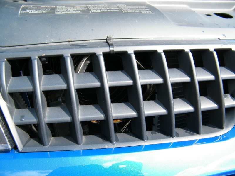 DSCF1005.jpg DSCF1005.jpg