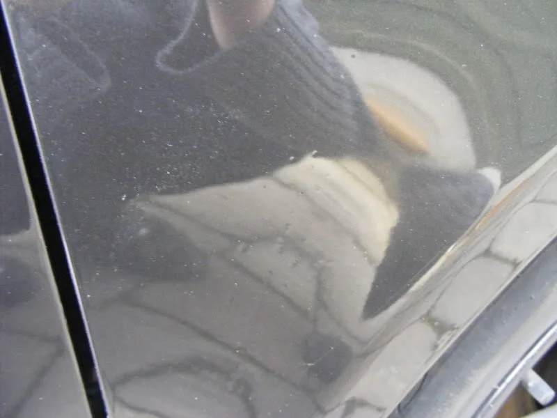 DSCF1006.webp