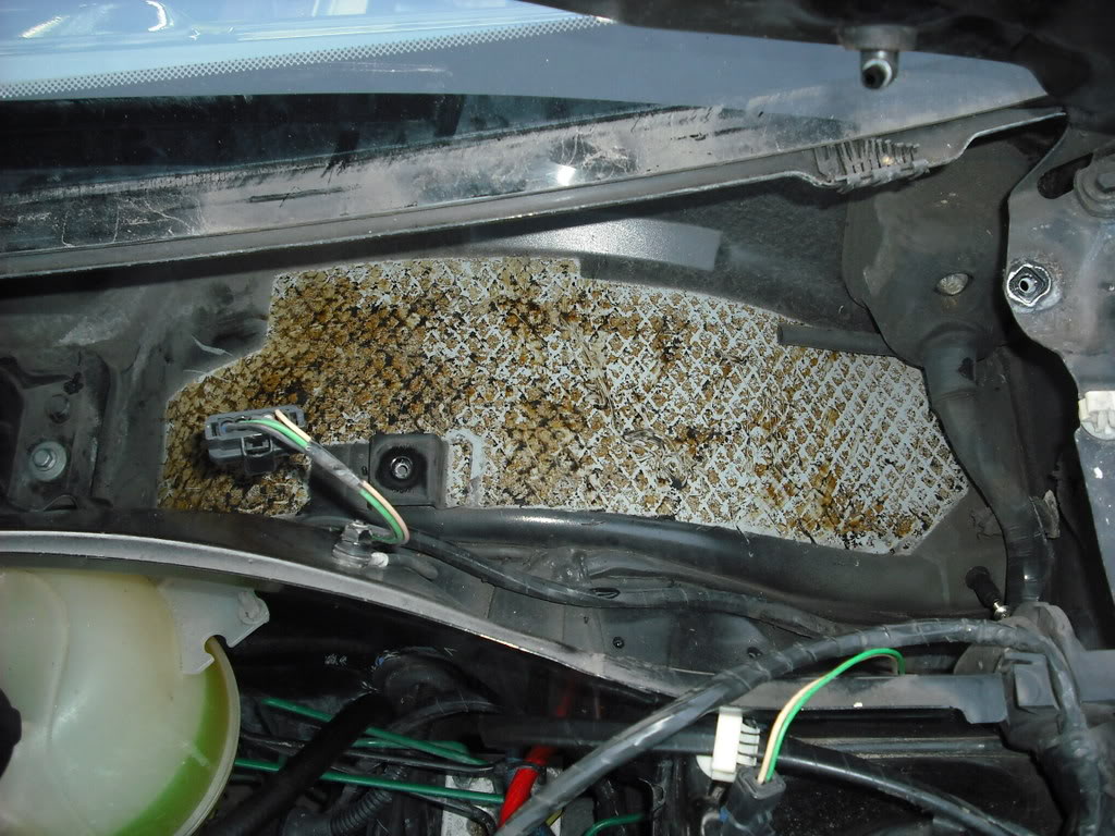 DSCF1011.jpg