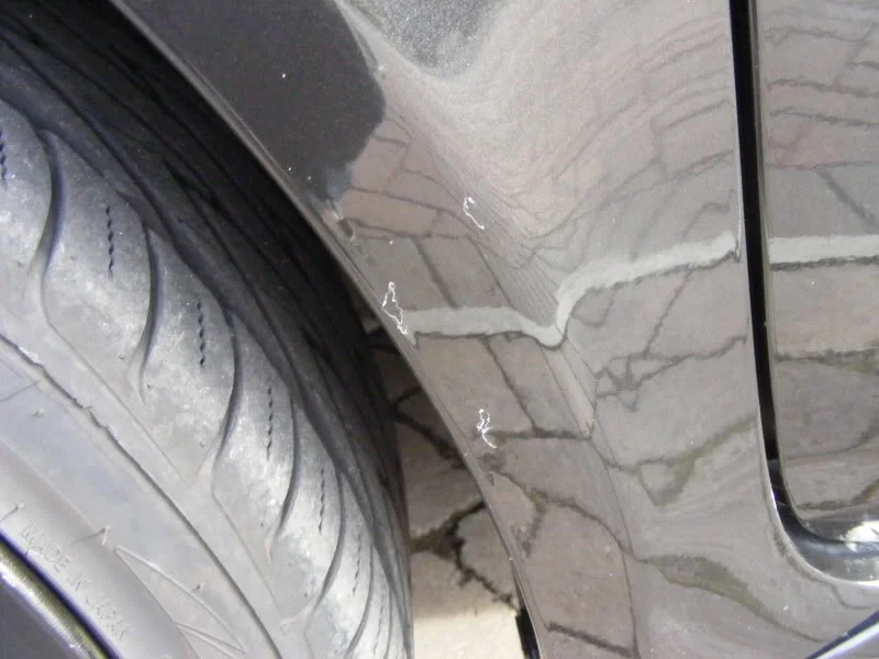 DSCF1021.webp