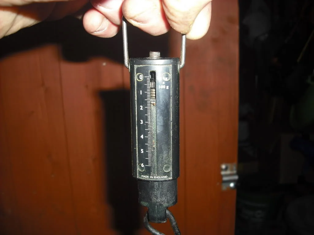DSCF1023.webp