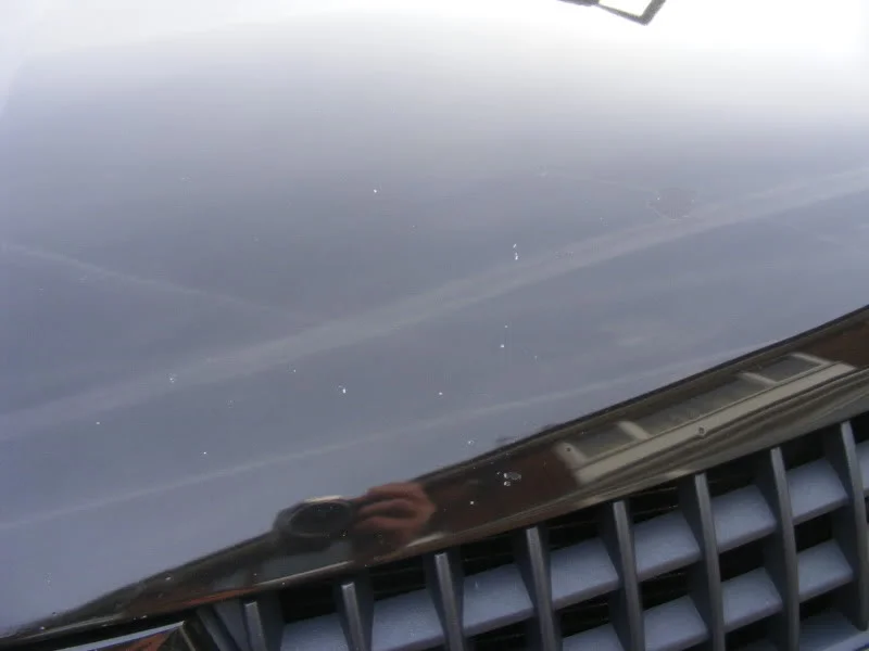 DSCF1024.webp