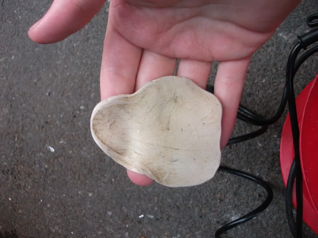 DSCF1053.webp