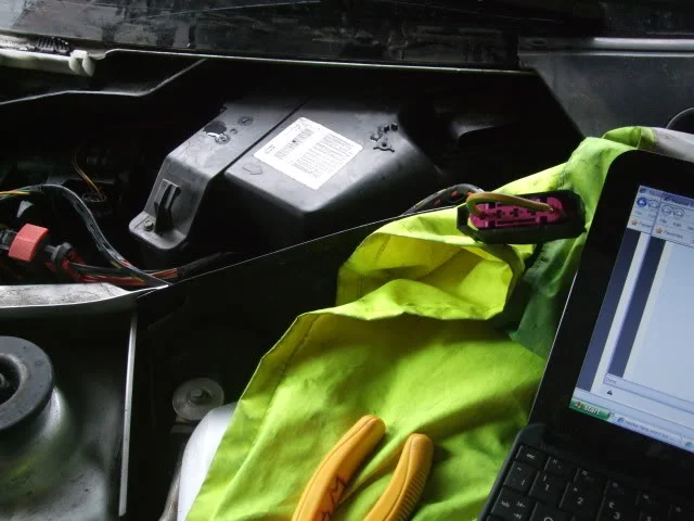 DSCF1072.webp