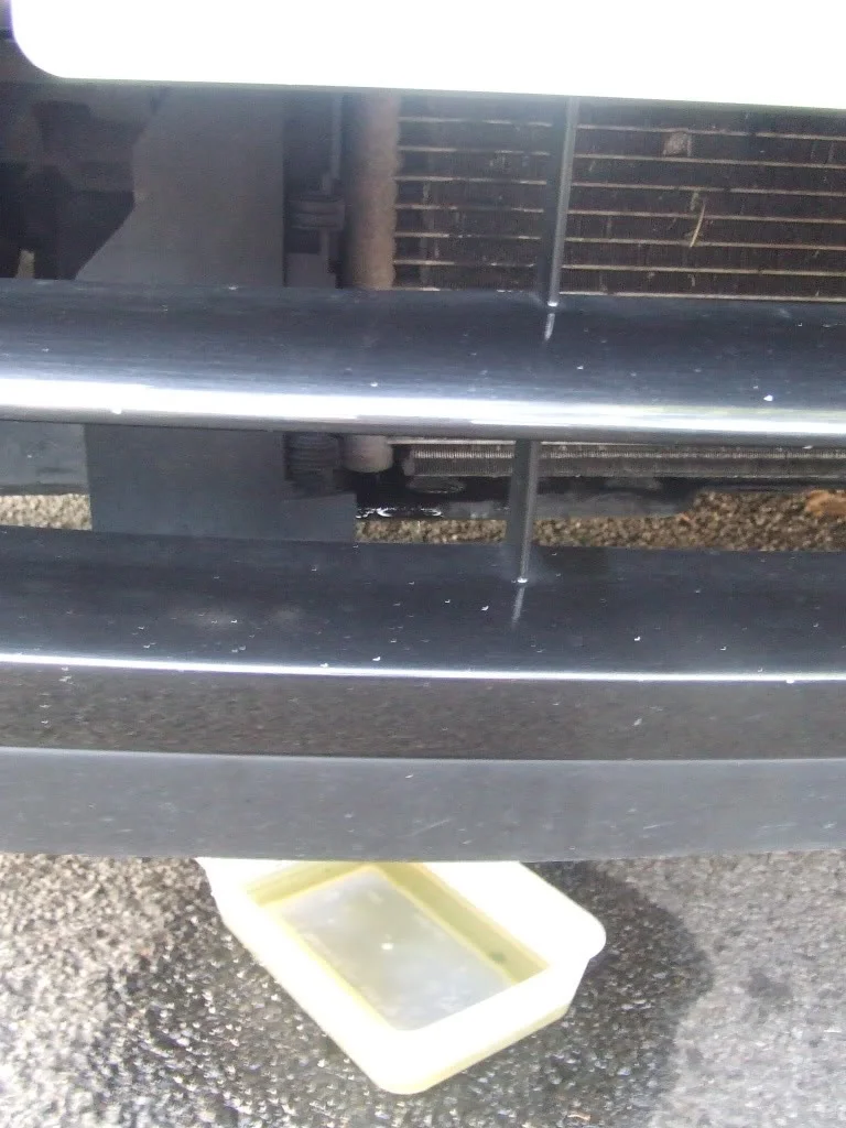 DSCF1073.webp