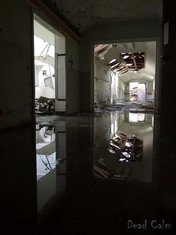 DSCF1081.webp
