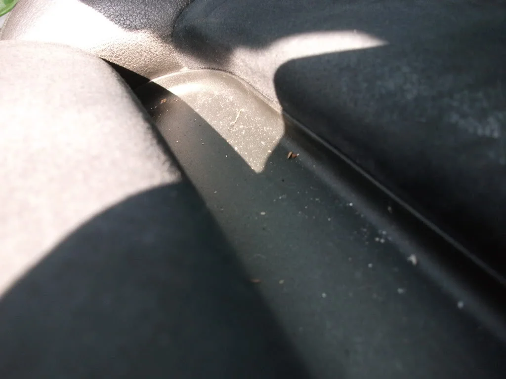 DSCF1135.webp