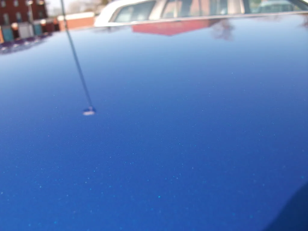 DSCF1162.webp