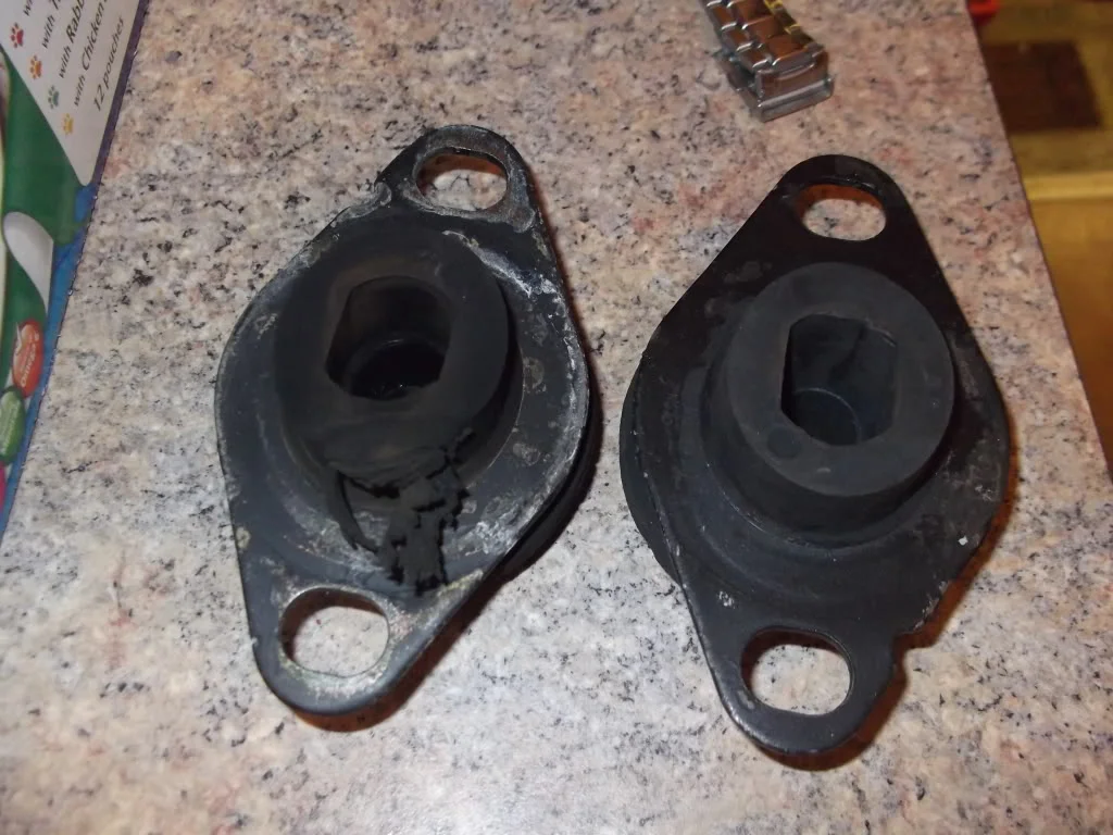 DSCF1169.webp