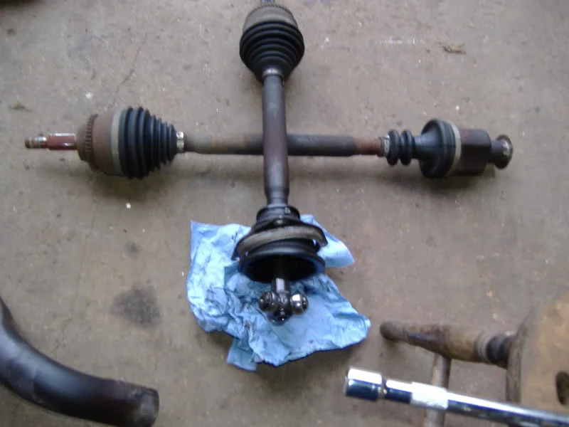 DSCF1189.webp