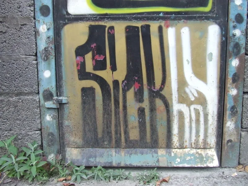 DSCF1212.webp