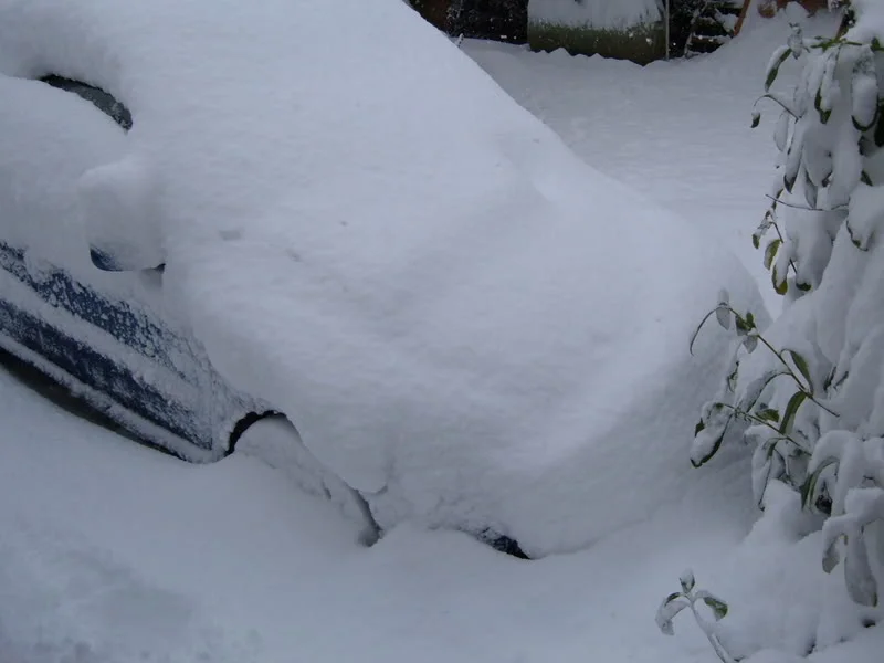 DSCF1246.webp
