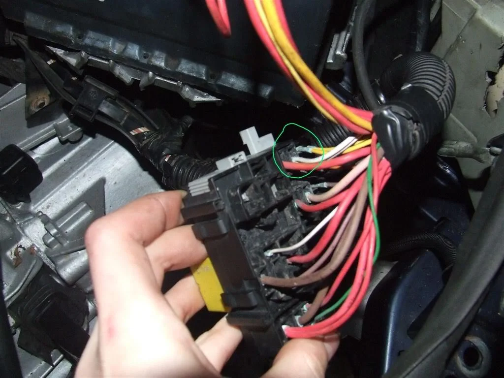 DSCF1315.webp