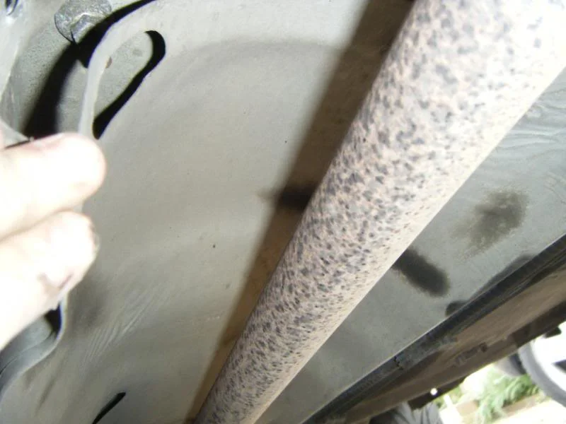 DSCF1341.webp