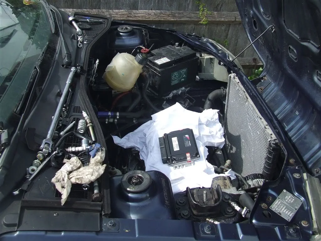 DSCF1395.webp