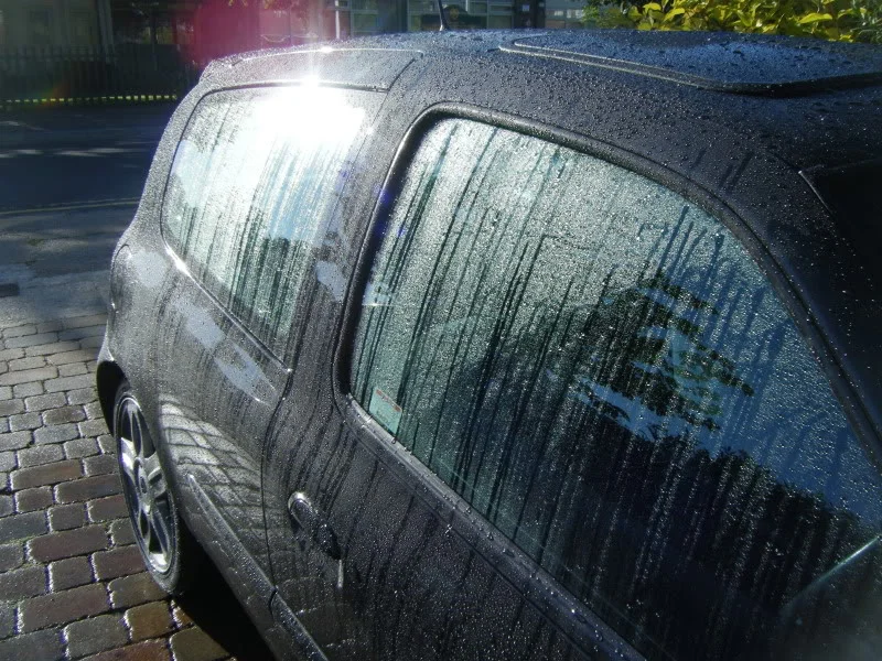 DSCF1396.webp