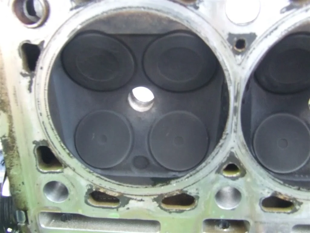 DSCF1401.webp