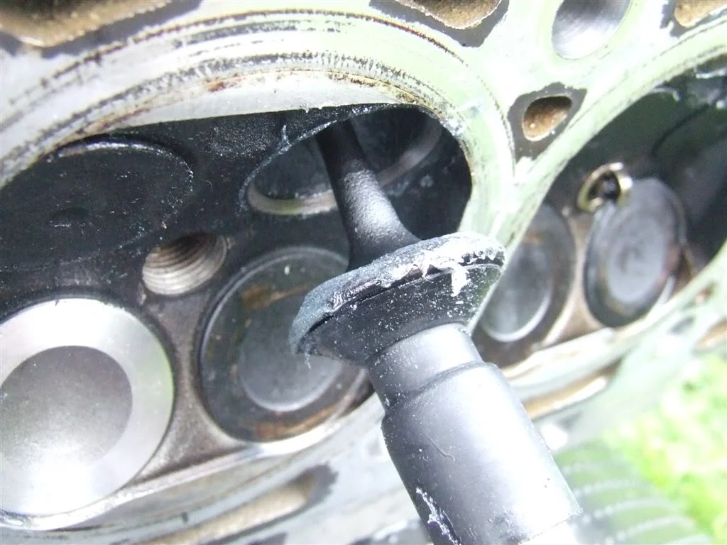 DSCF1435.webp