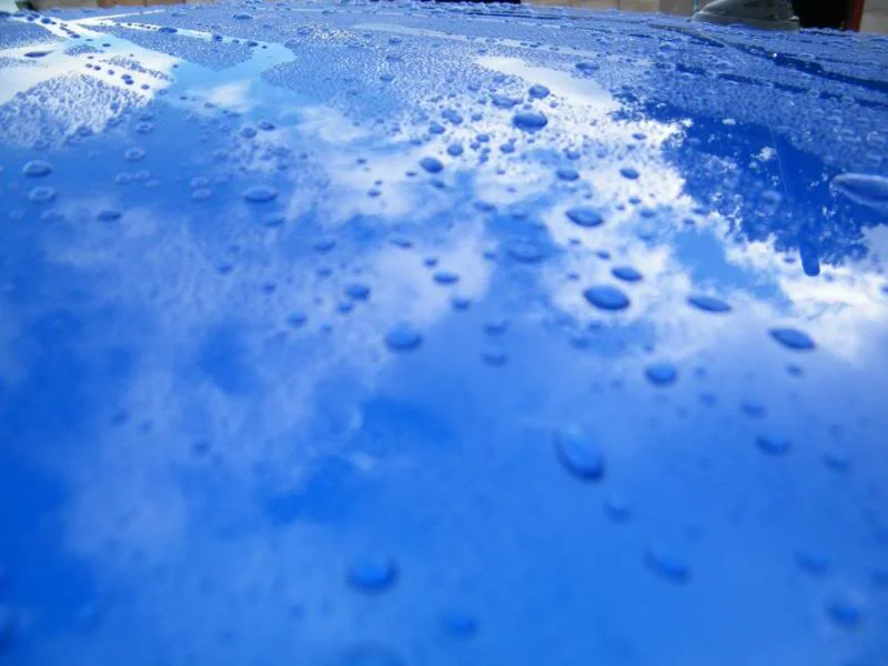 DSCF1439.webp