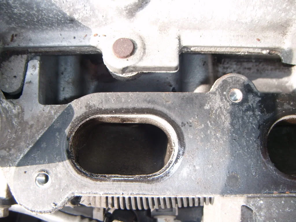 DSCF1451.webp