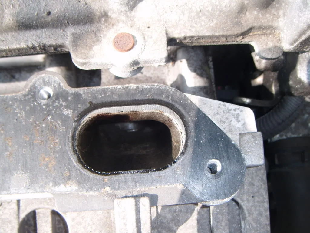 DSCF1454.webp