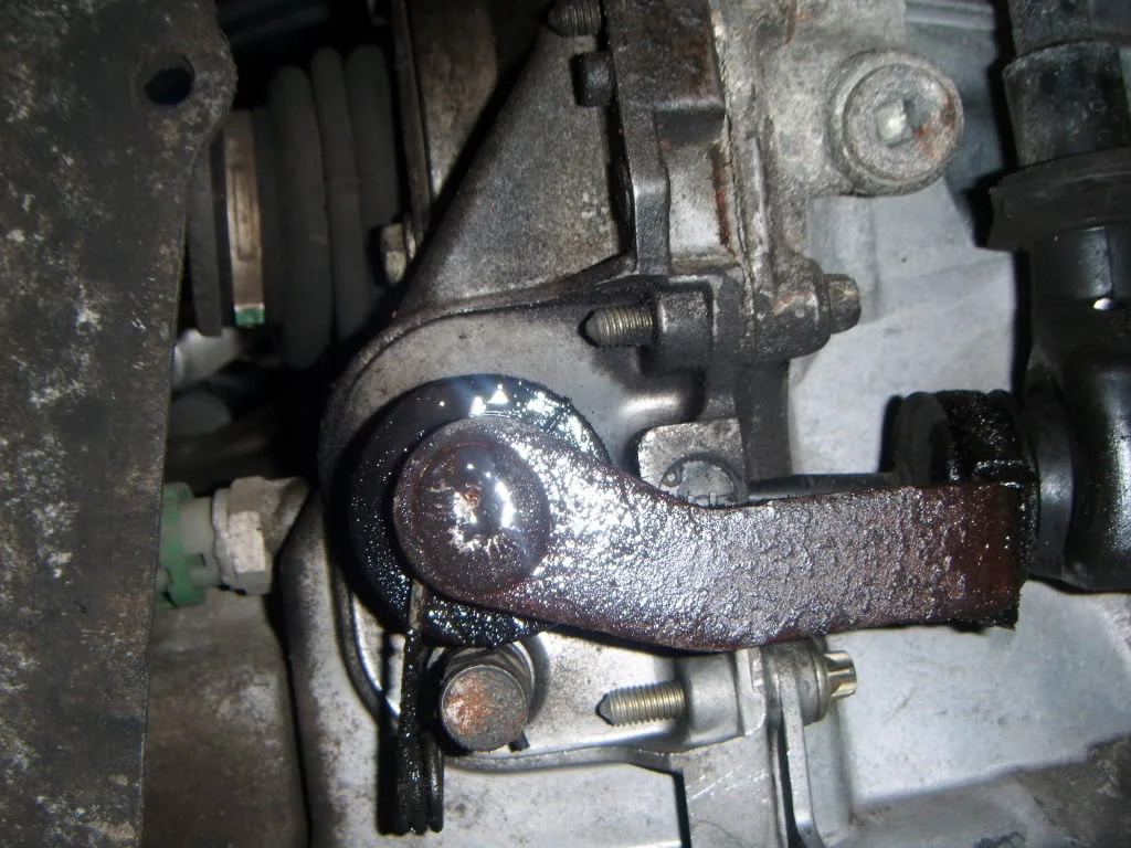 DSCF1462.webp