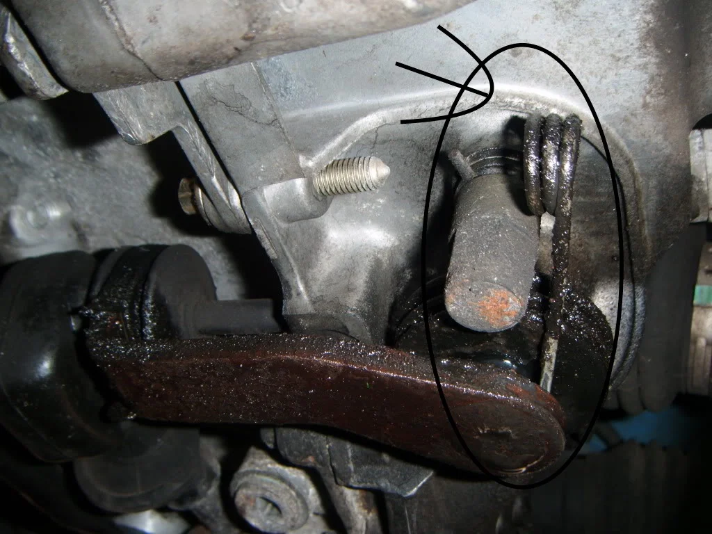 DSCF1463.webp