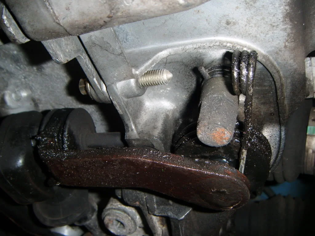 DSCF1463.webp
