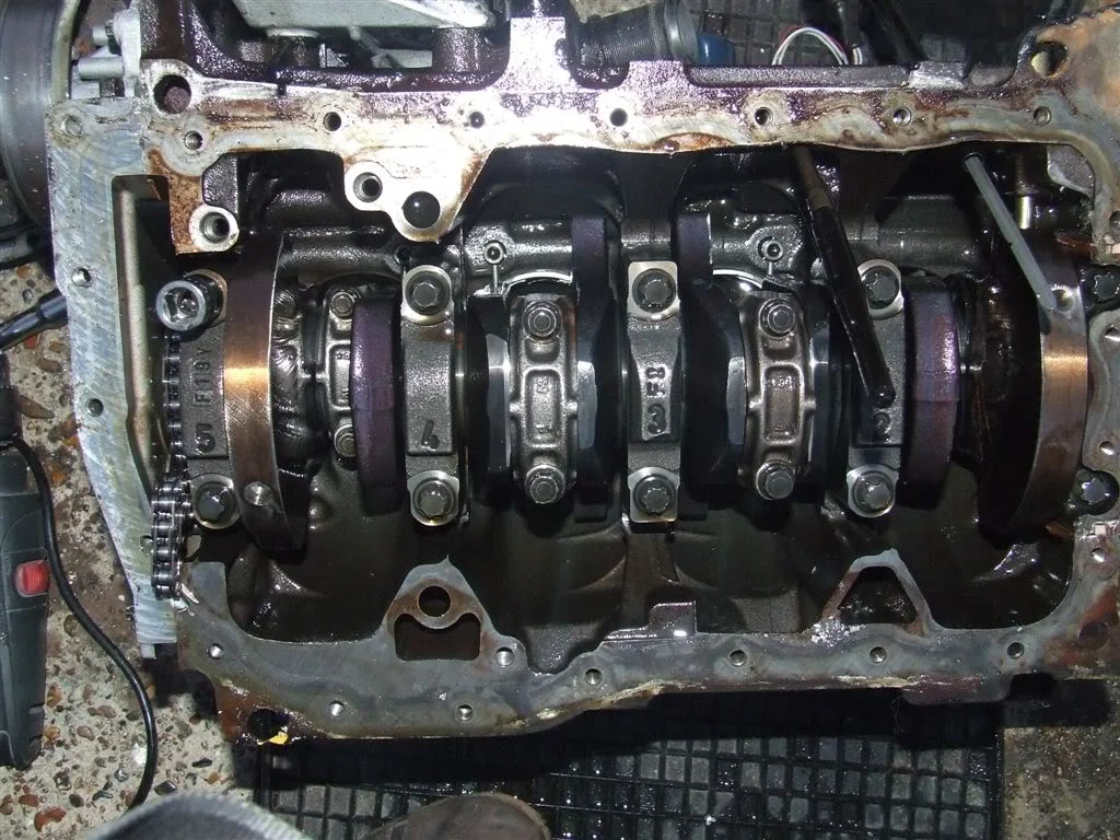 DSCF1464.webp