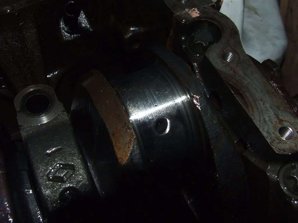 DSCF1467.webp