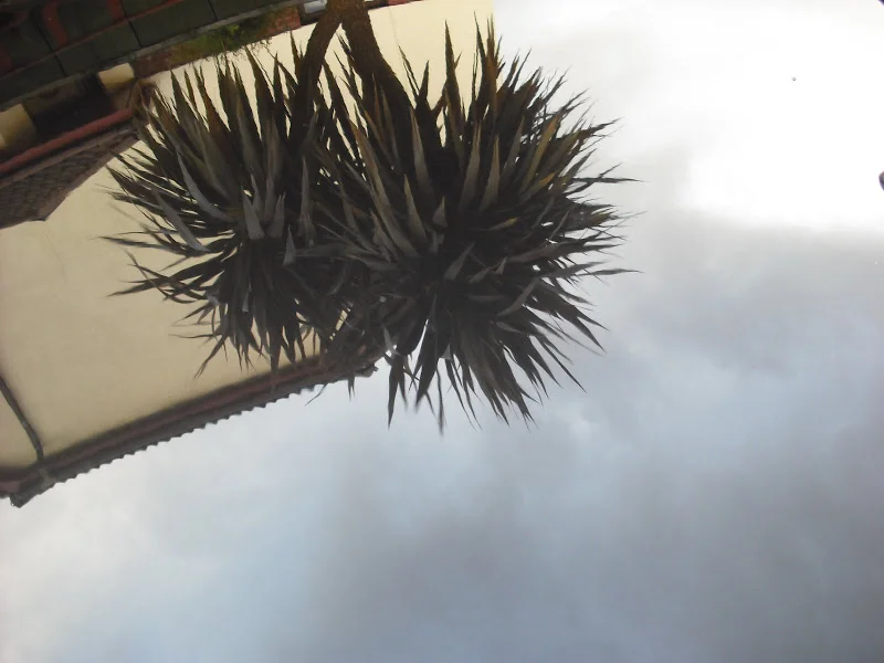 DSCF1467.webp