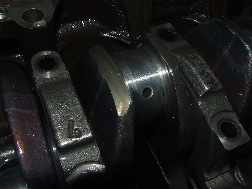 DSCF1469.webp