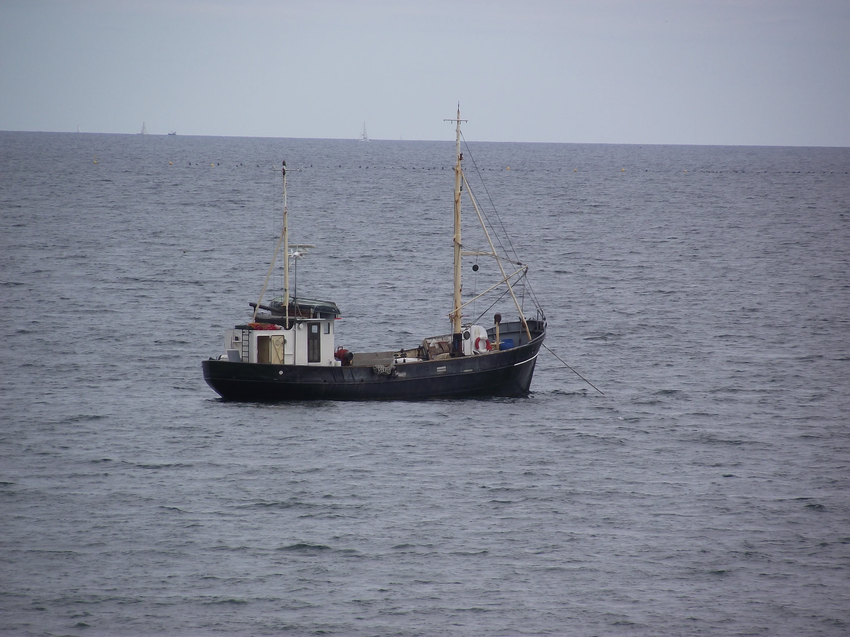 DSCF1471.webp