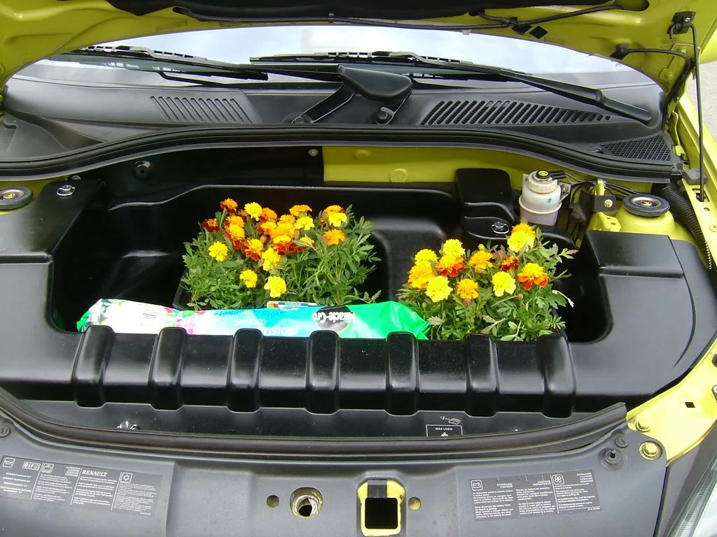 DSCF1586.webp