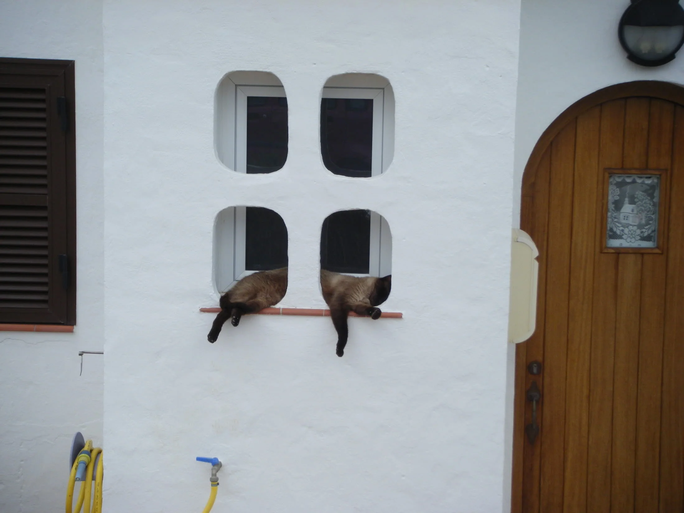 DSCF1623.webp