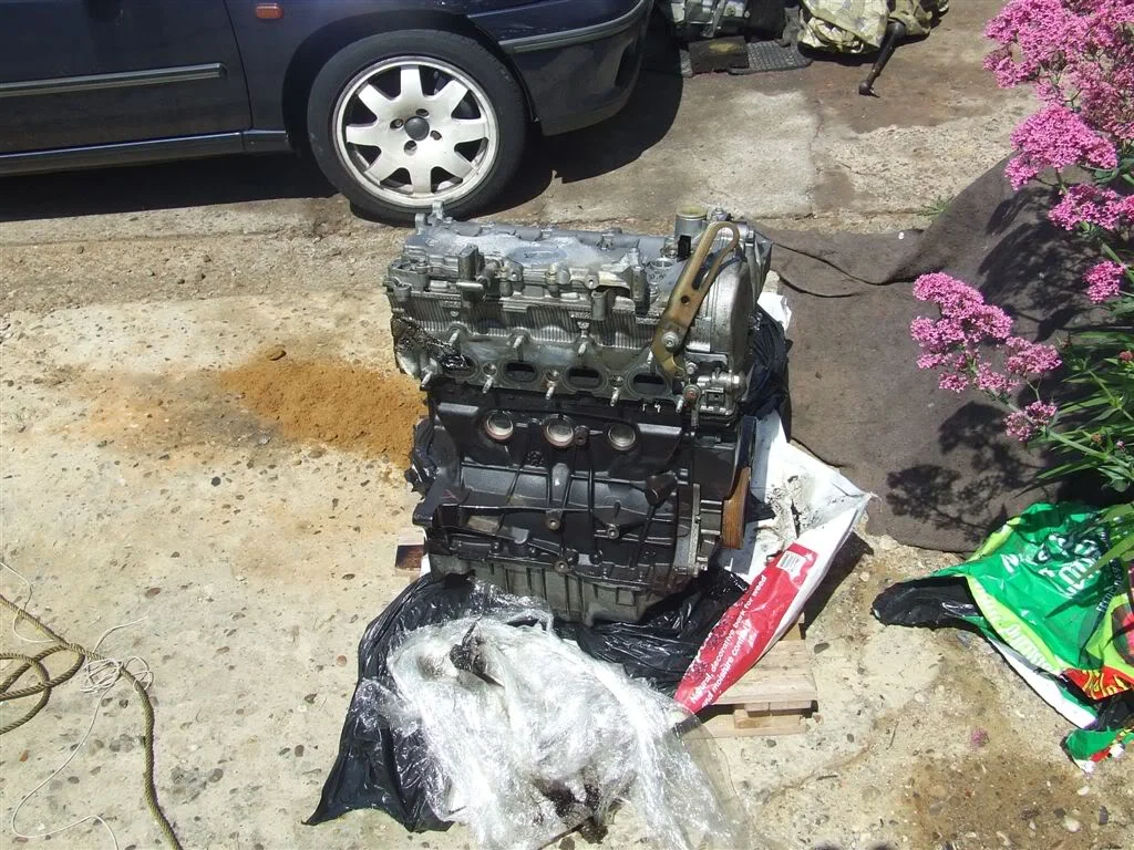 DSCF1624.webp