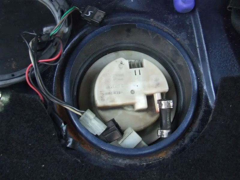 DSCF1684.webp