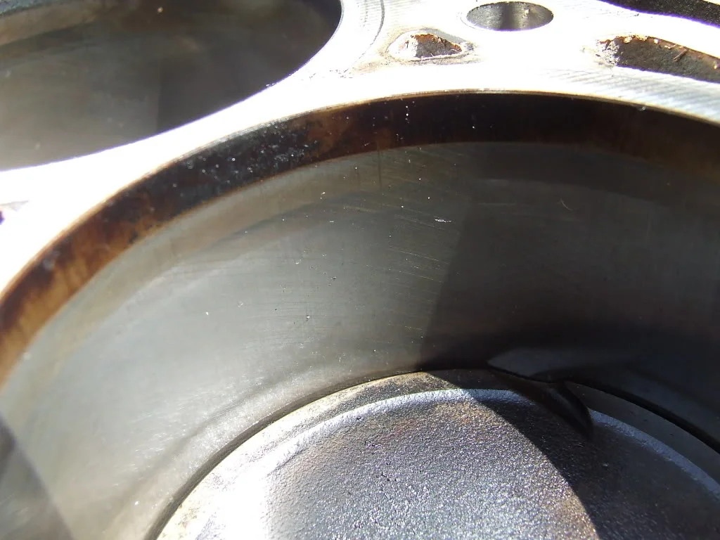DSCF1694.webp