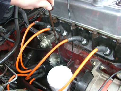 DSCF171178dip.webp