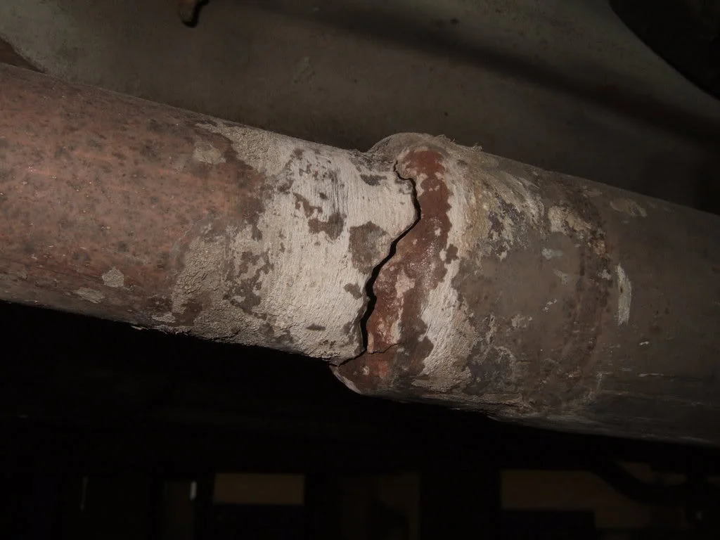 DSCF1726.webp