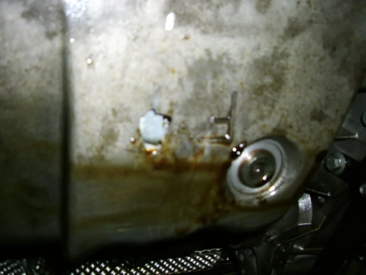 DSCF1759.webp