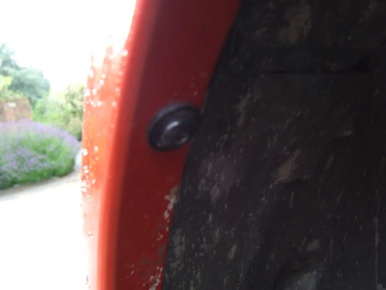 DSCF1839.webp