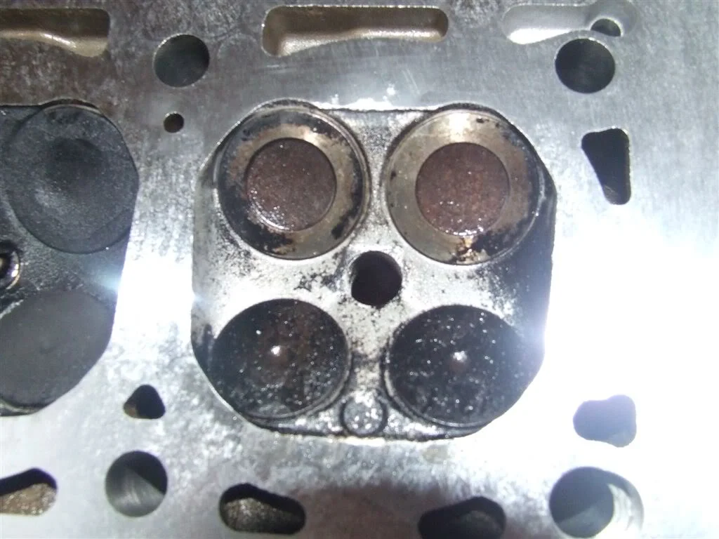 DSCF1839.webp