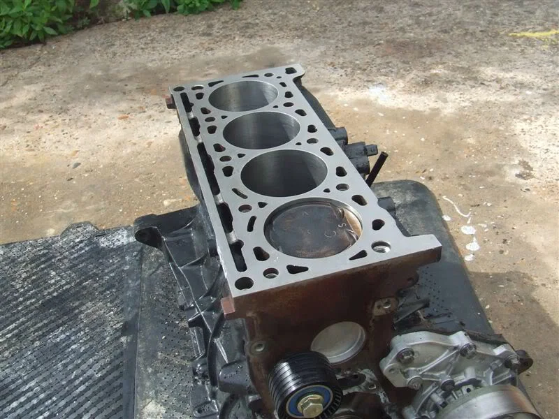 DSCF1879.webp