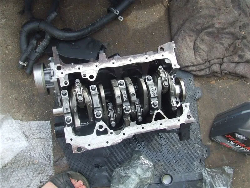 DSCF1884.webp